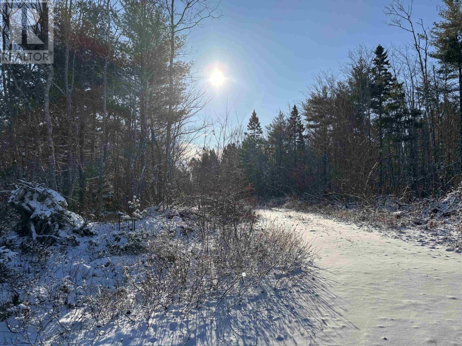 Lot (Pid 70164488) Highway 103, White Point, Nova Scotia  B0T 1K0 - Photo 2 - 202501443