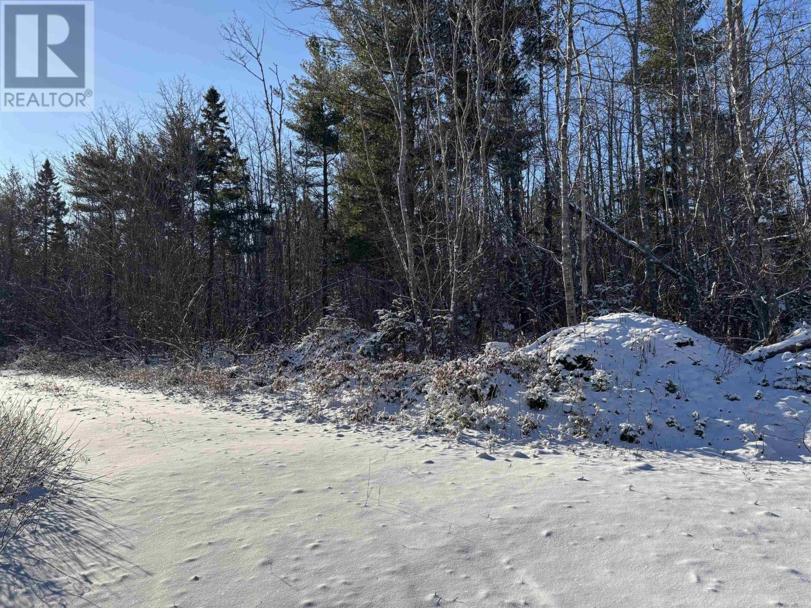 Lot (Pid 70164488) Highway 103, White Point, Nova Scotia  B0T 1K0 - Photo 3 - 202501443