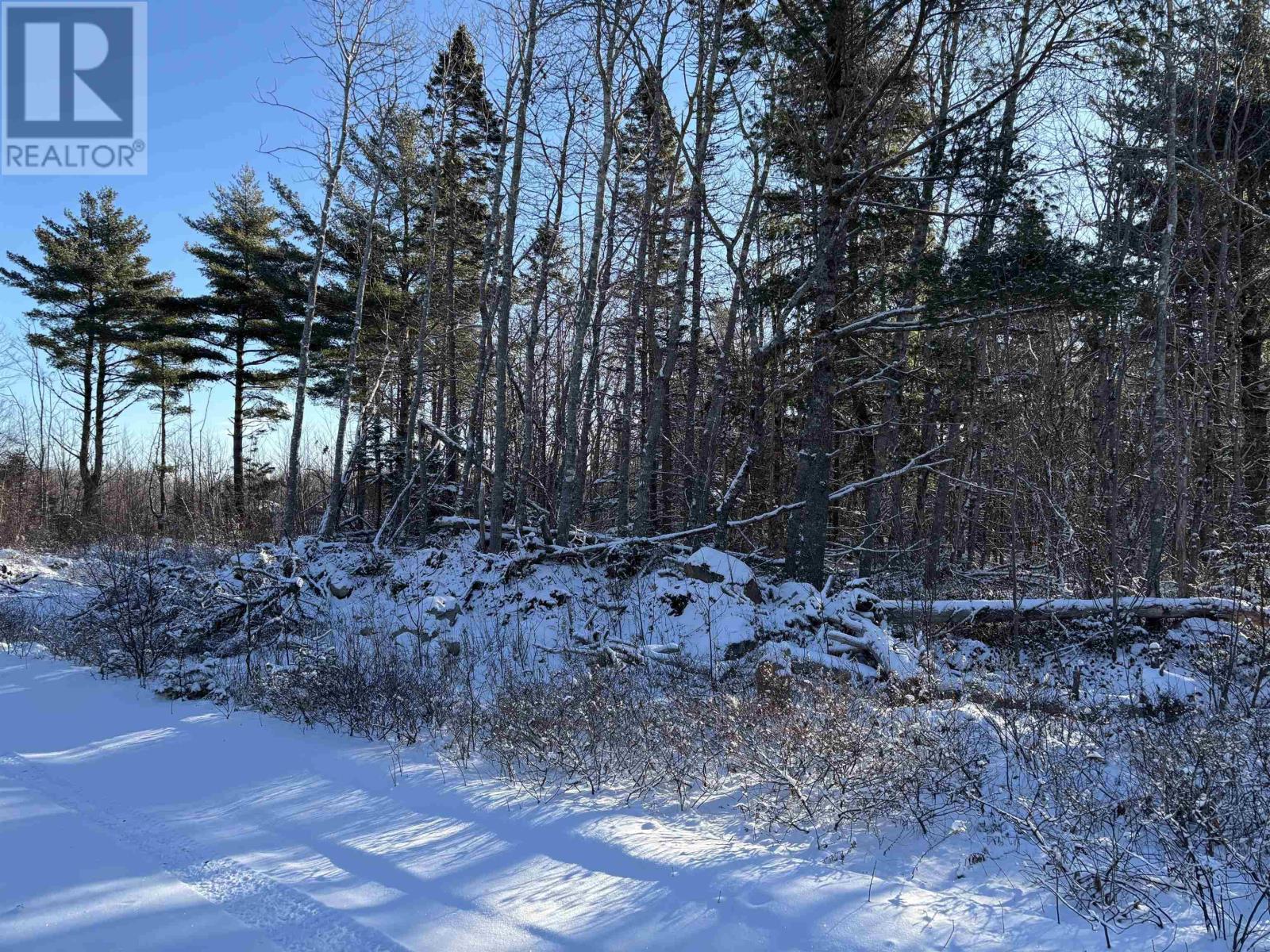 Lot (Pid 70164488) Highway 103, White Point, Nova Scotia  B0T 1K0 - Photo 5 - 202501443