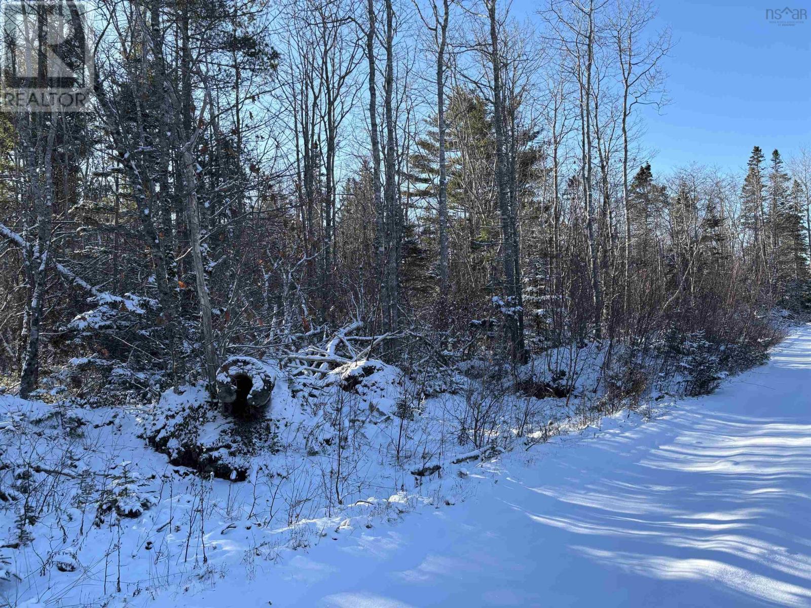 Lot (Pid 70164488) Highway 103, White Point, Nova Scotia  B0T 1K0 - Photo 6 - 202501443