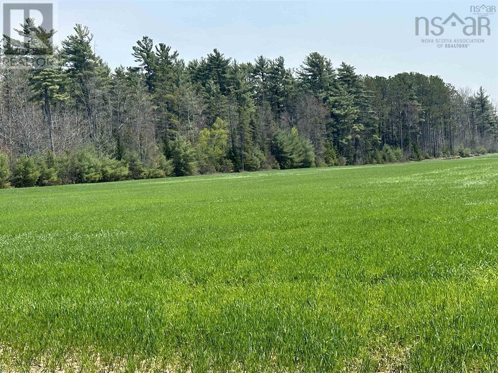 Lot 2-2000 Alexander Mackenzie Road, South Farmington, Nova Scotia  B0S 1P0 - Photo 2 - 202501476