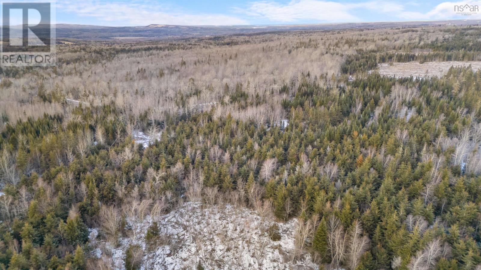 Lot 3 E Fraser Road, White Hill, Nova Scotia  B0K 1C0 - Photo 13 - 202501495