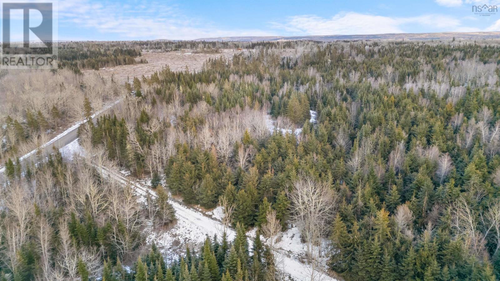 Lot 3 E Fraser Road, White Hill, Nova Scotia  B0K 1C0 - Photo 14 - 202501495