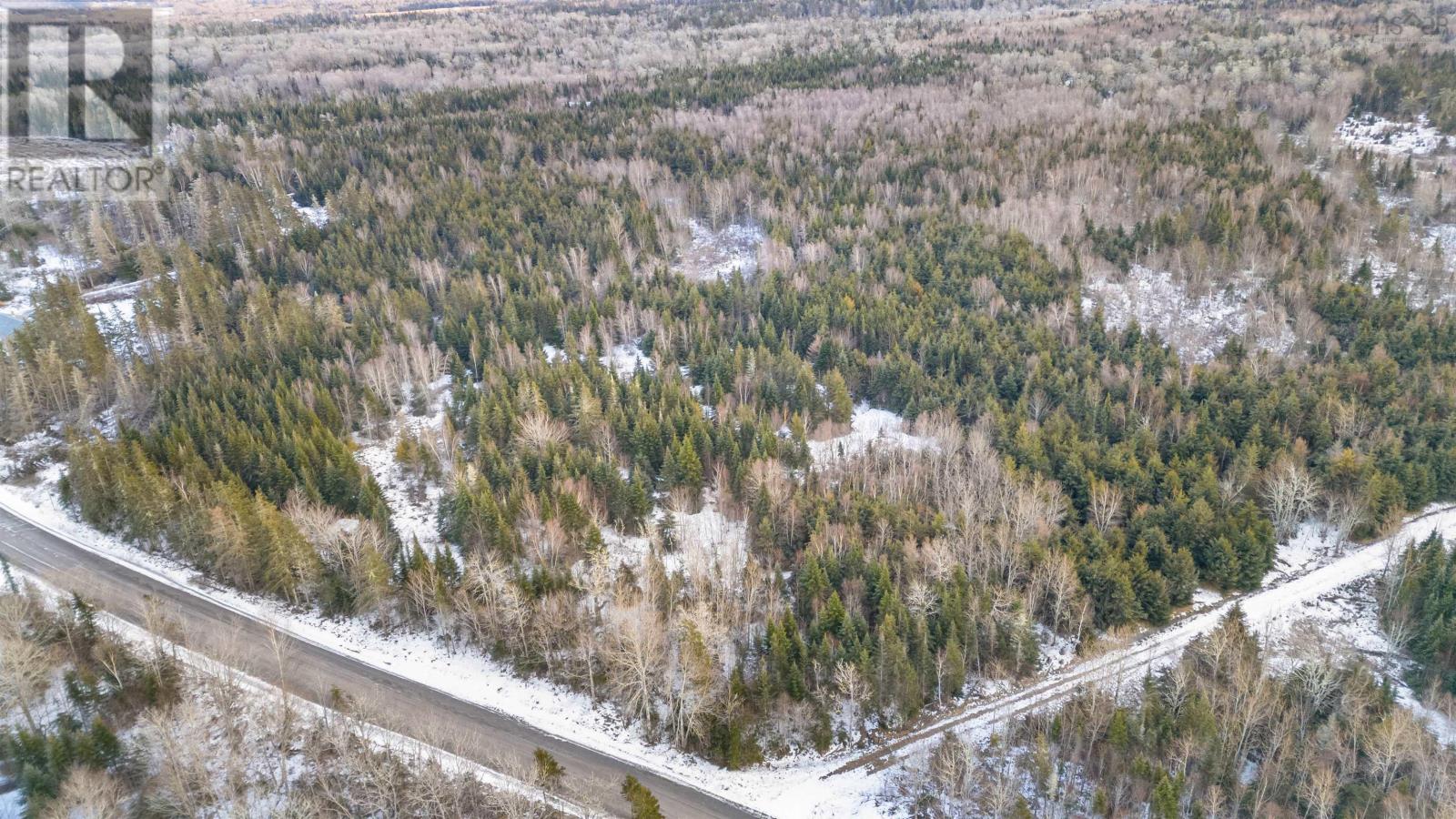 Lot 3 E Fraser Road, White Hill, Nova Scotia  B0K 1C0 - Photo 16 - 202501495