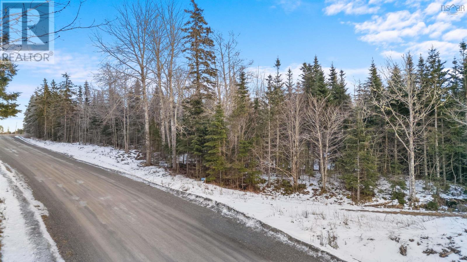 Lot 3 E Fraser Road, White Hill, Nova Scotia  B0K 1C0 - Photo 17 - 202501495