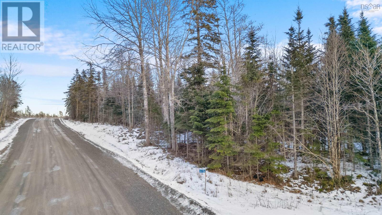 Lot 3 E Fraser Road, White Hill, Nova Scotia  B0K 1C0 - Photo 18 - 202501495